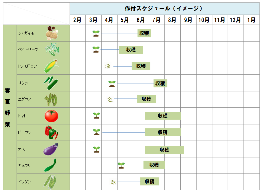 体験農園の１年間の流れ（例）